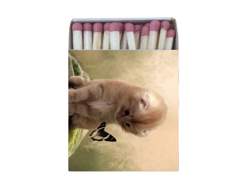 خرید کبریت گربه + طرح و مدل های مختلف