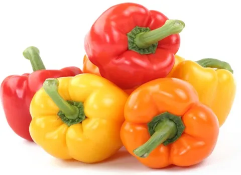 قیمت فلفل دلمه ای چهارپر + خرید