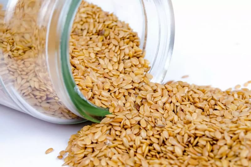 خرید انواع بذر جو بهمن + قیمت