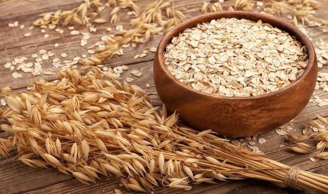 خرید و قیمت جو هاشمی امروز گیلان