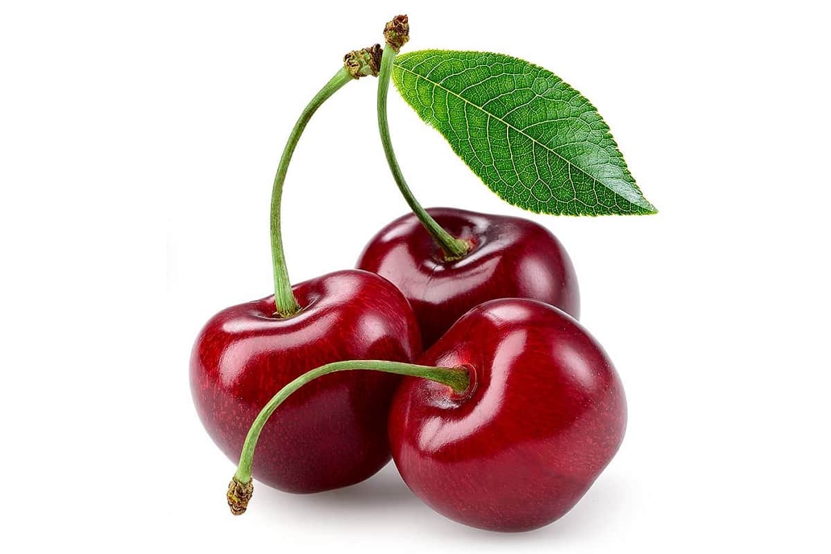 خرید جدیدترین انواع آلبالو در بازار مشهد