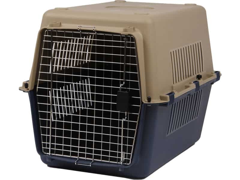 خرید باکس حمل و نقل هوایی سگ + بهترین قیمت
