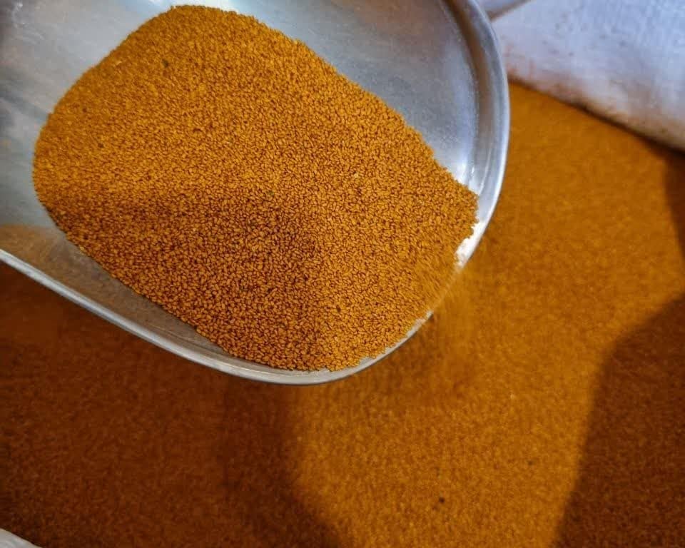 آثار و فواید خاکشیر برای کبد چرب چیست؟