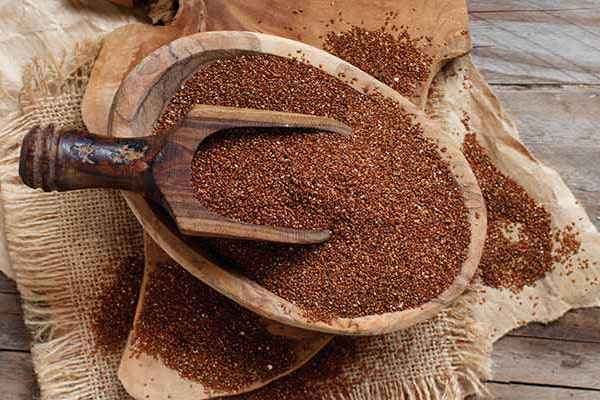 خرید خاکشیر ارزان و با کیفیت