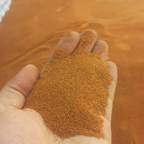 خرید خاکشیر فله در سراسر ایران + با کیفیت بالا