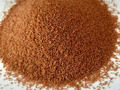 پخش و فروش خاکشیر در اصفهان امروز