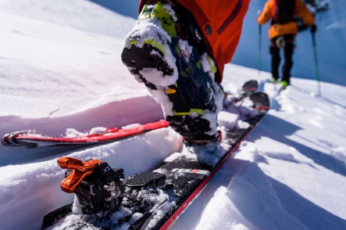 خرید و قیمت انواع چوب اسکی نوردیکا