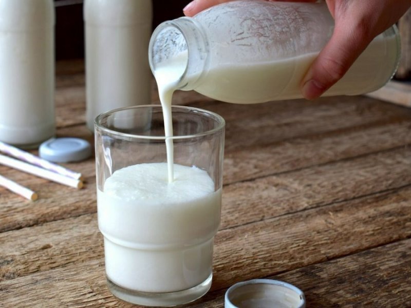 خرید و قیمت شیر کاکائو میامی تازه