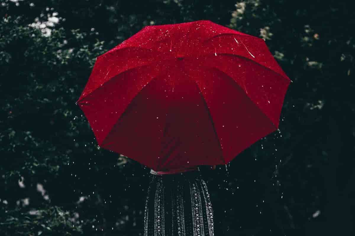 بهترین قیمت چتر دو نفره