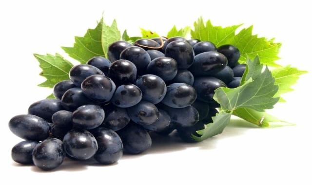 خرید و قیمت روز انگور سیاه برای یبوست