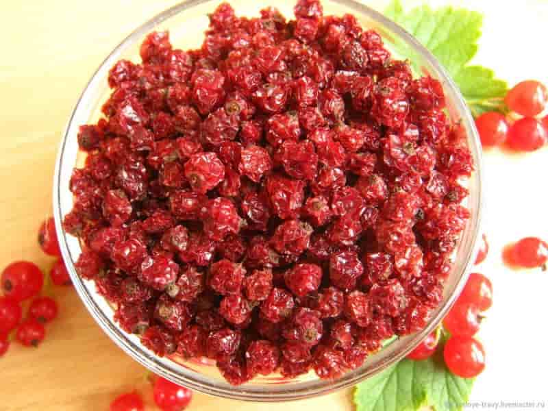 خرید زغال اخته خشک بدون هسته بهترین قیمت