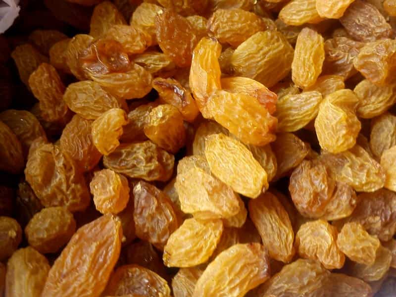 خرید و فروش کشمش کاشمر عمده با بهترین قیمت