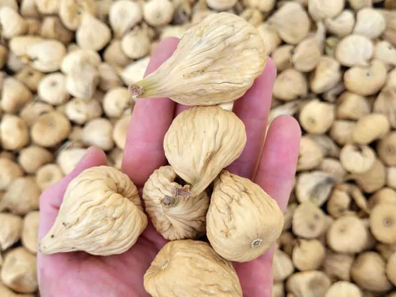 خواص اعجاب آور انجیر خشک و عسل