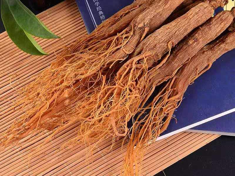 قیمت و خرید جنسینگ قرمز برای چاقی با مشخصات کامل