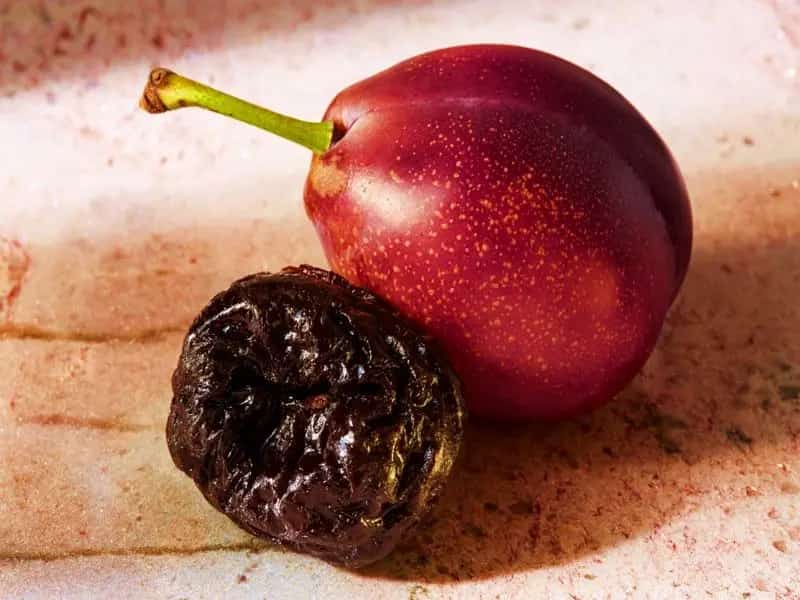 پخش و فروش آلو بخارا تبریز