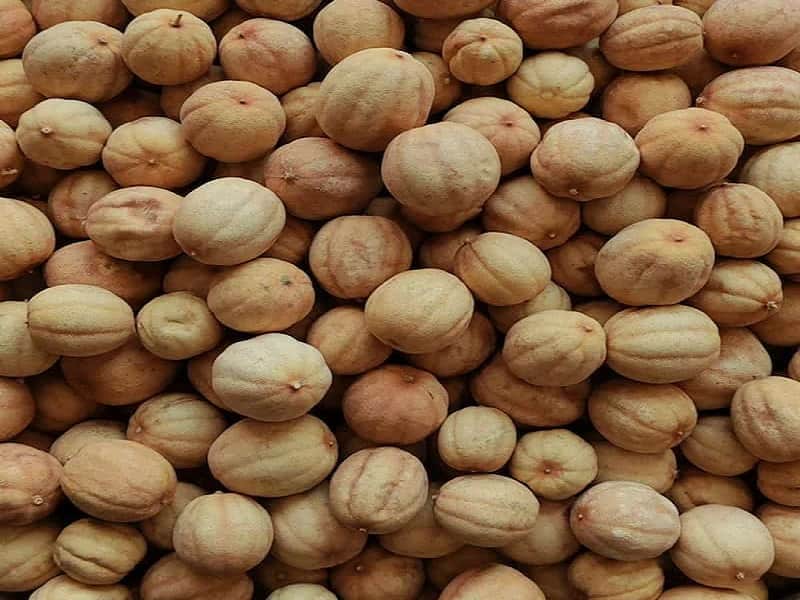 بهترین لیمو عمانی ایران برای کجاست؟