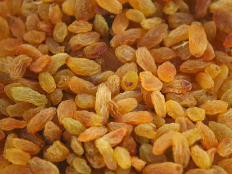 فرق کشمش و مویز در چیست؟