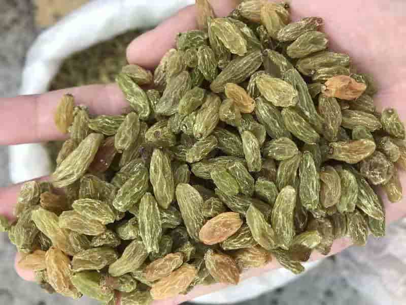 آموزش کشمش پلو ساده و خوش طعم