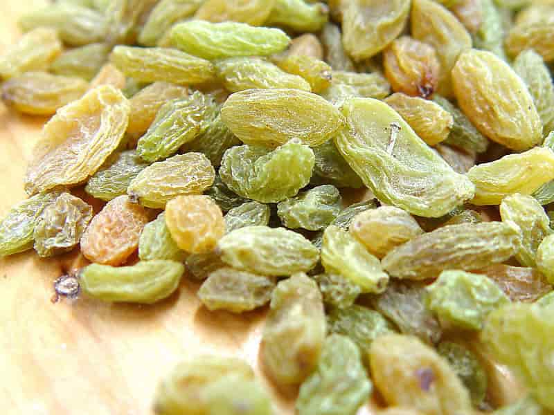 کدام کشمش خون ساز است؟ + خرید