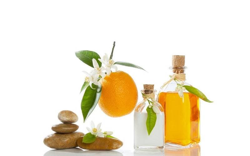 خرید و قیمت انواع شربت بهار نارنج در شیردهی