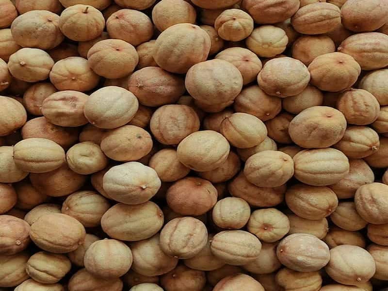 خرید لیمو عمانی فامیلا 140 گرمی با بهترین قیمت