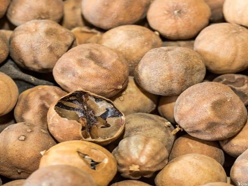 خرید لیمو عمانی صدف با بهترین قیمت