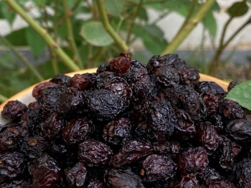 پخش و فروش گیلاس خشک درجه یک