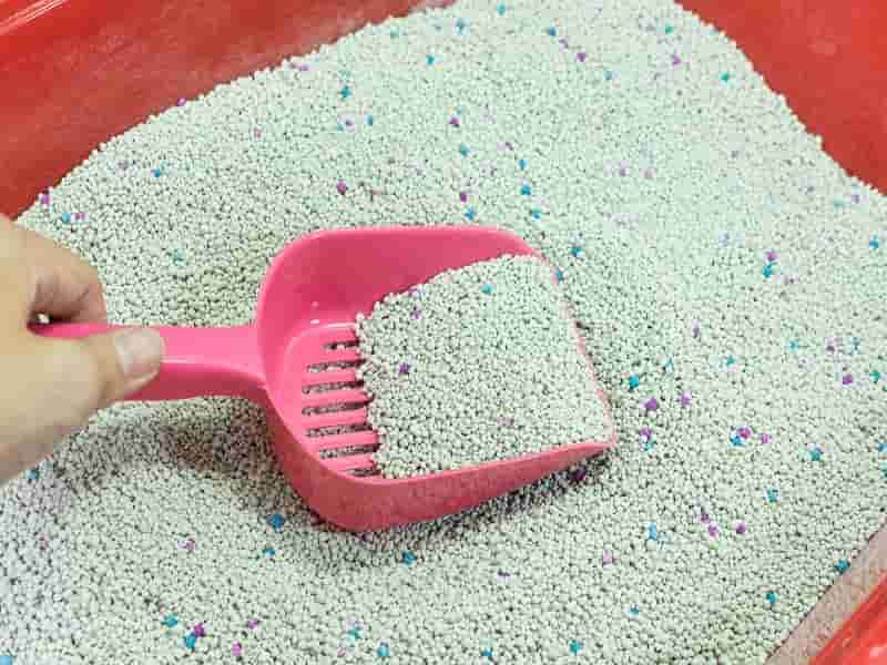 خرید تاید عمده با قیمت استثنائی