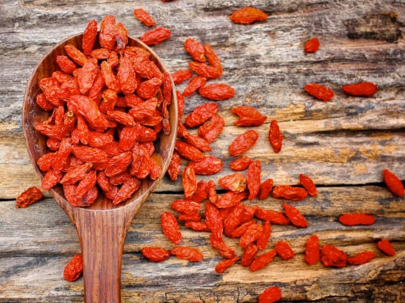 میوه خشک گوجی بری چیست؟ + مشخصات کامل