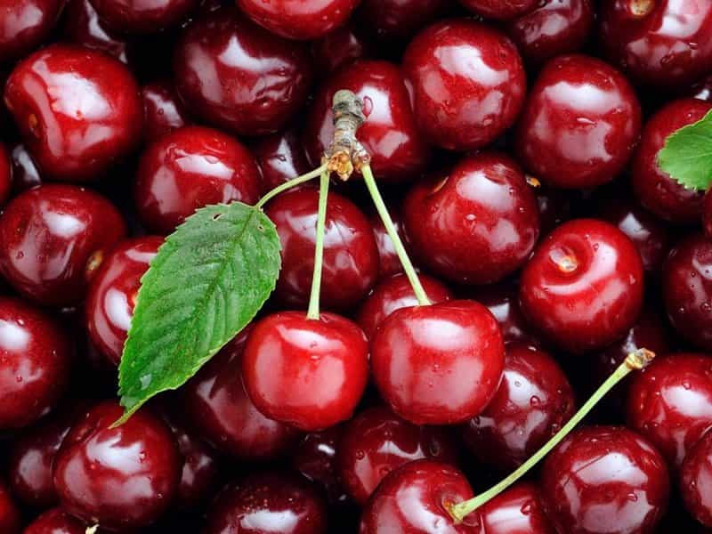 خرید و قیمت گیلاس بازار تهران