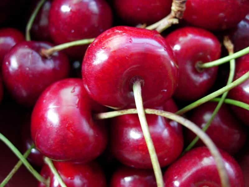 بهترین مرکز خرید گیلاس در مشهد