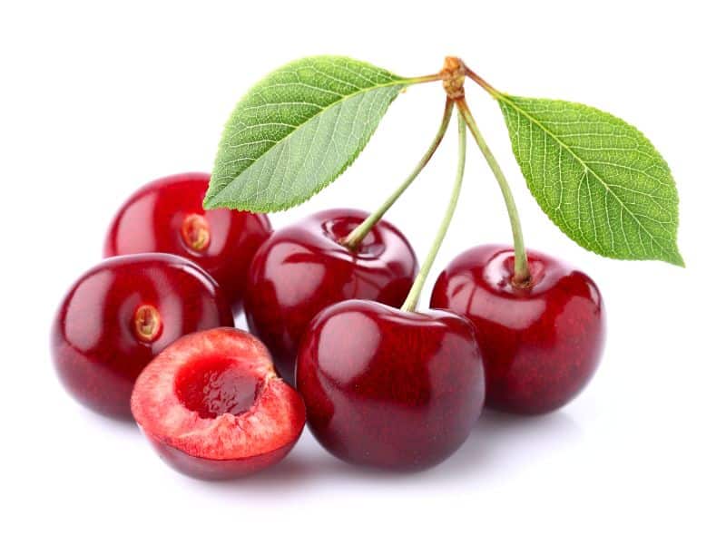 تاثیر میوه گیلاس برای لاغری + روش استفاده