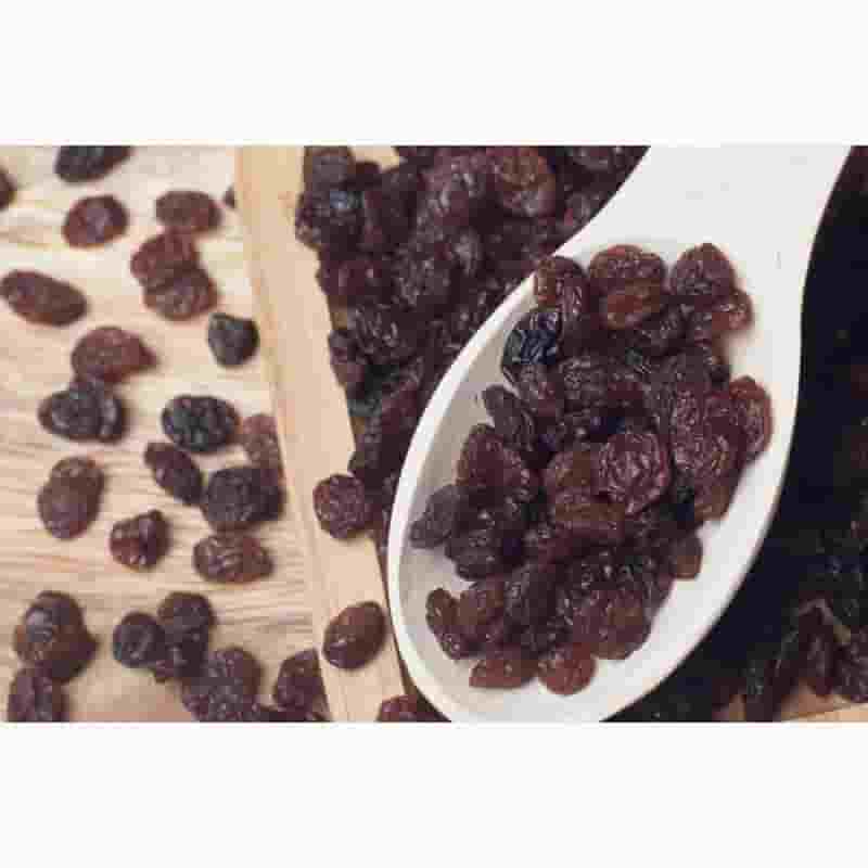 نمایندگی فروش کشمش ارزان