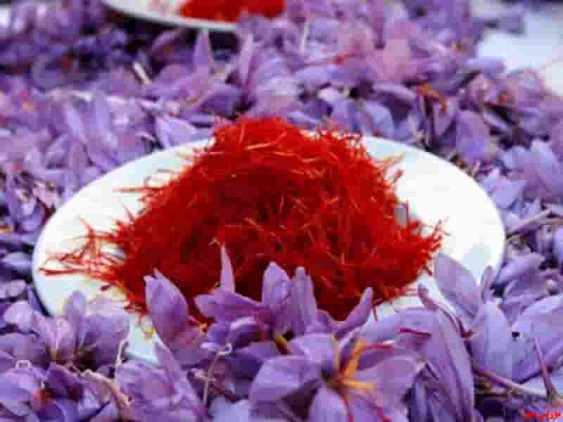 قیمت و خرید زعفران عمده در مشهد