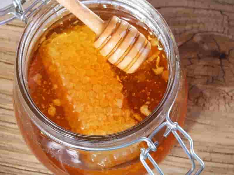 راهنمای خرید انواع عسل تک گل