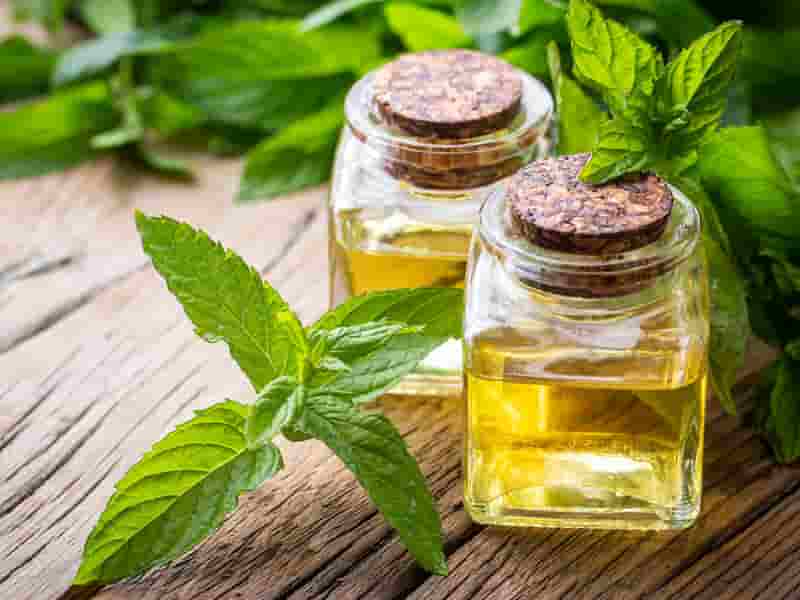 نکات مهم در خرید روغن کنجد + قیمت عالی