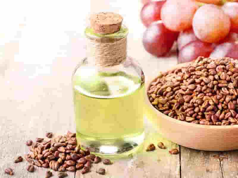 بهترین مرکز فروش روغن کنجد + راه های ارتباطی