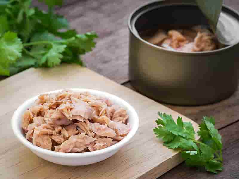 کنسرو ماهی از چه ماهی درست میشه؟