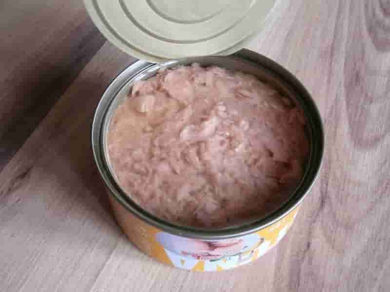 کنسرو ماهی چقدر پروتئین دارد؟ | خواص