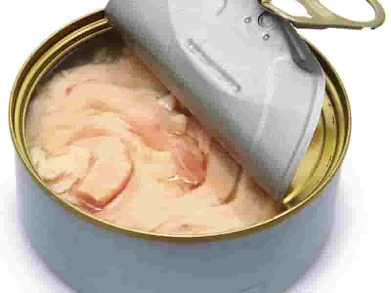 چگونه بفهمیم کنسرو ماهی خراب است؟