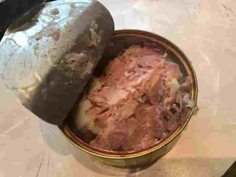 کنسرو ماهی طبع گرم دارد یا سرد