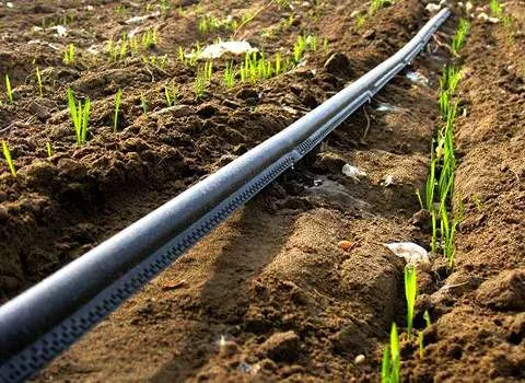 لوله پلی اتیلن فشار قوی کشاورزی + بهترین قیمت خرید