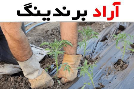 بهترین قیمت نایلون صیفی جات از کارخانه