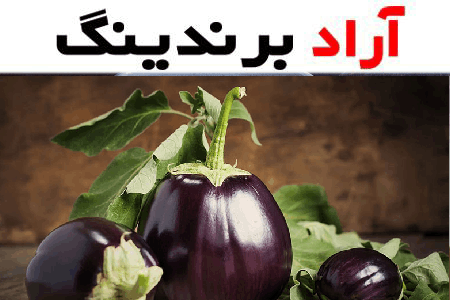 خواص شگفت انگیز بادمجان در حفظ سلامتی و تندرستی ما