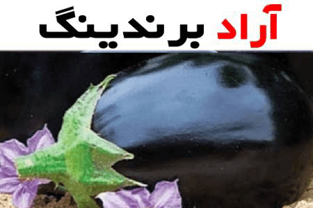 چقدر از املاح معدنی موجود در بادمجان سیاه آگاه هستید؟