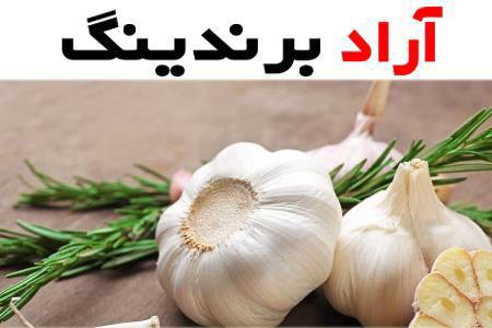 سیر خشک امروز؛ ارگانیک (تازه) درمان بیماری عفونی سرماخوردگی