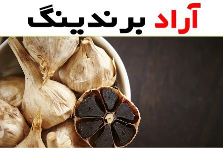 قیمت خرید سیر سیاه از تولید به مصرف