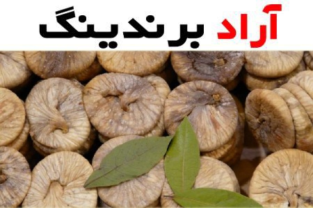 بهترین قیمت انجیر خشک ممتاز 1 کیلویی