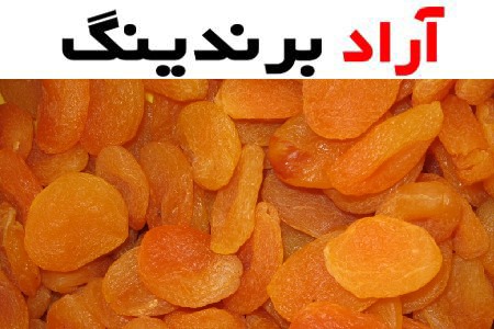 خرید و فروش الو بخارا فله مرغوب