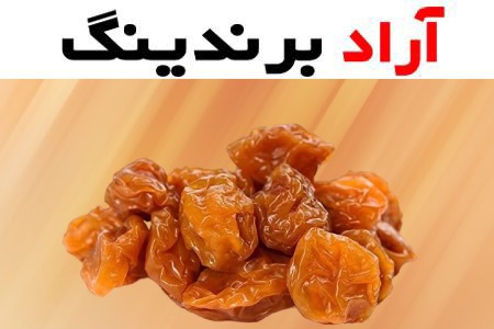 خرید و قیمت انواع آلو بخارا عمده